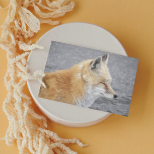 Carte Sleepy Red Fox Funny Faune Anniversaire