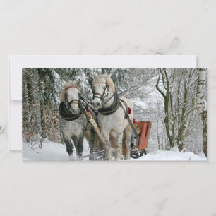 Carte Sleigh Ride in Winter Wonderland
