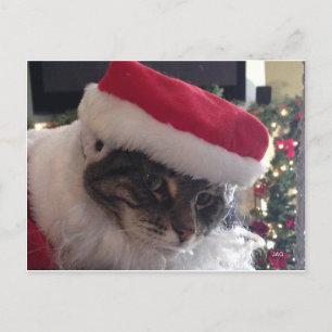 Carte Slim Kitty Père Noël