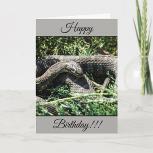 Carte Snake Anniversaire Personnalisée