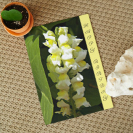 Carte Snapdragons Jaunes Anniversaire Floral