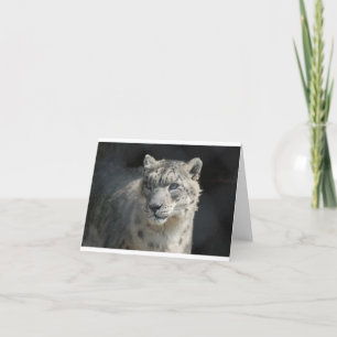 Carte Snow Leopard
