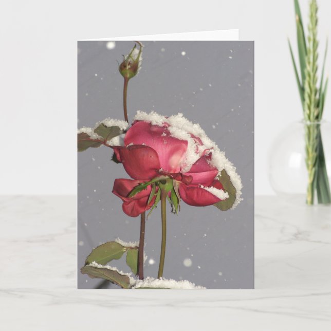 Carte Snow Rose (Devant)