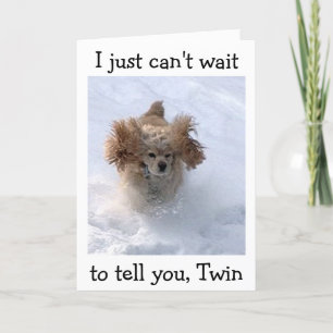 CARTE **SNOWBOUND COMEDIC DOG** POUR L'ANNIVERSAIRE DE T