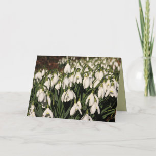 Carte Snowdrops