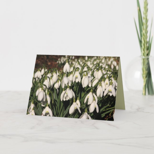 Carte Snowdrops (Devant)