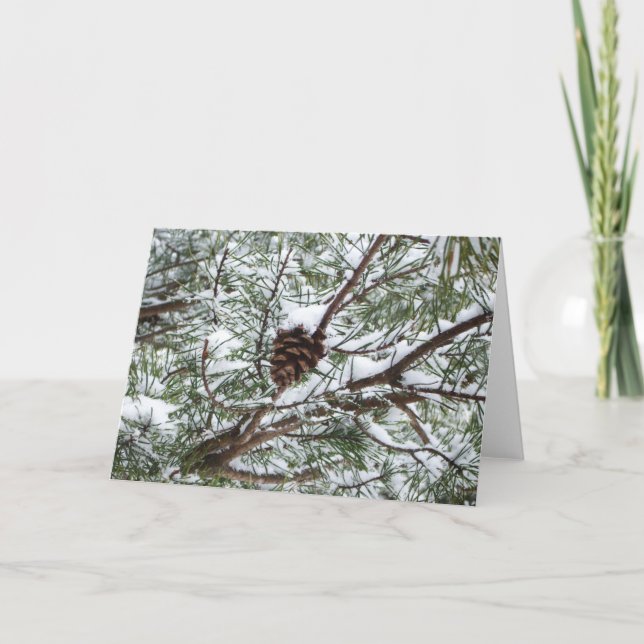 Carte Snowy Pine Cône II hiver Photographie de la nature (Devant)