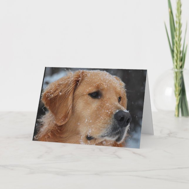 Carte Snowy Wyatt (Devant)