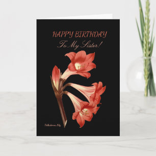 Carte Soeur Anniversaire Belladonna Lily