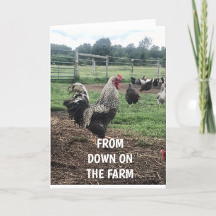 CARTE **SOEUR JOLIE ANNIVERSAIRE SUR LA CARTE" FARM