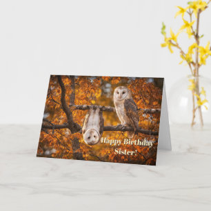 Carte Sœur Joyeux Anniversaire Humour Drôle avec Deux Hi
