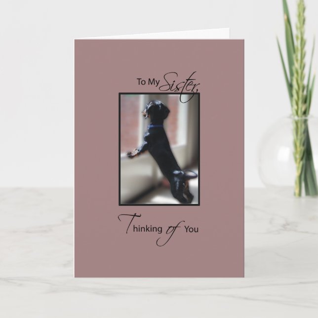 Carte Soeur Pensez à vous avec un petit chien, allez bie (Devant)