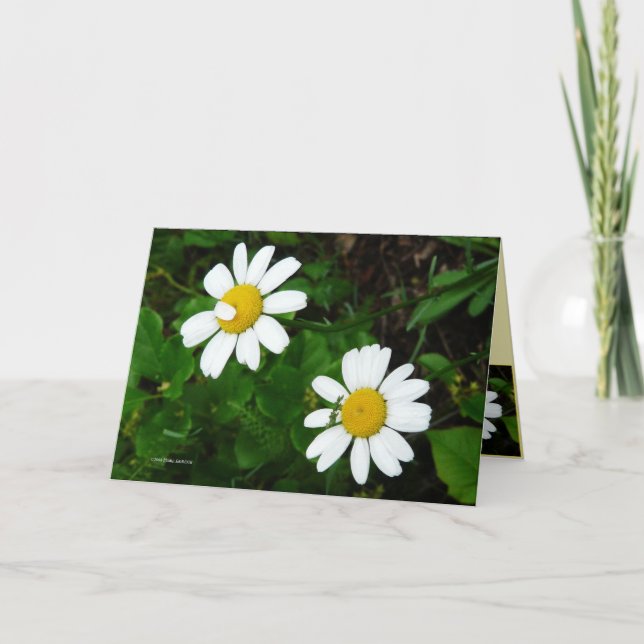 Carte Soeurs (Devant)