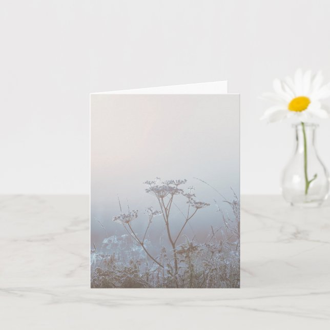 Carte Soft Frosty Morning Nature Sympathy (Petite plante)