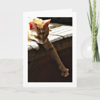 Carte "Soleil d'hiver "