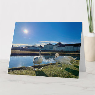 Carte Soleil printanier 