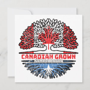 Carte Somalie Somalie Canada drapeau des racines de l'ar