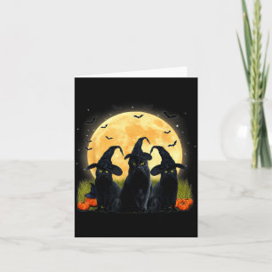 Carte Sorcière Chat Noir Et Citrouille Pleine Lune Hallo
