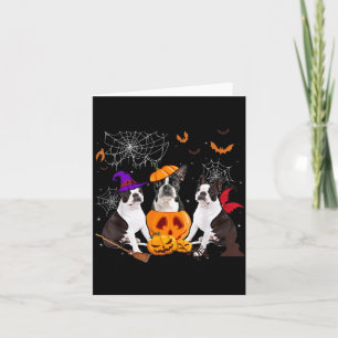 Carte Sorcière de citrouille drôle Boston Terrier Chien
