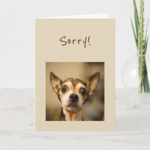 Carte Sorry Fun Chihuahua Dog