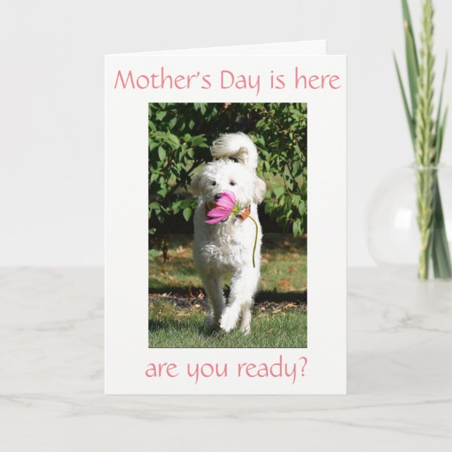 CARTE SOUHAIT SPÉCIAL POUR ***MOM*** LE JOUR DE LA MÈRE (Devant)