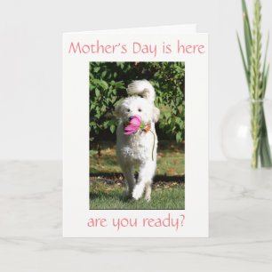 CARTE SOUHAIT SPÉCIAL POUR ***MOM*** LE JOUR DE LA MÈRE