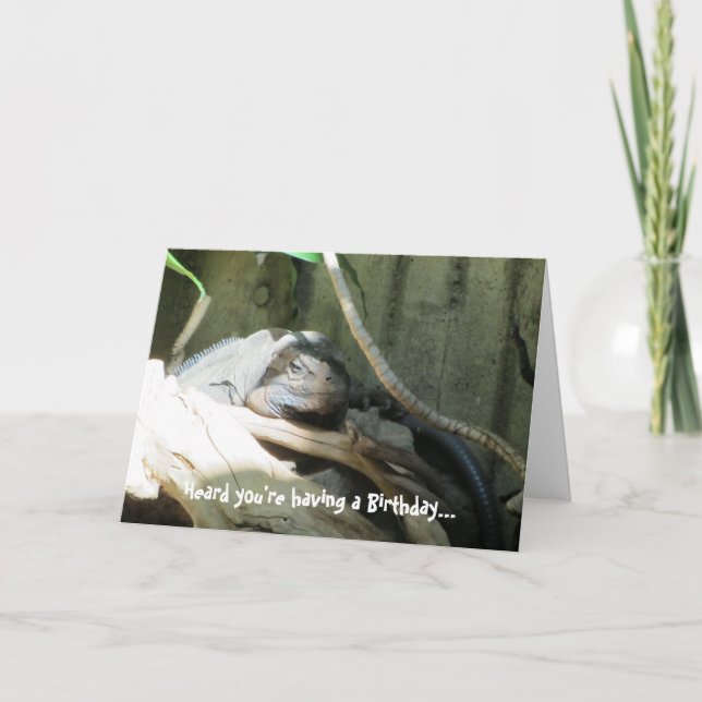 Carte Souhaits d'anniversaire d'Iquana (Devant)