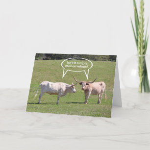 Carte Souhaits d'anniversaire du Texas Longhorn