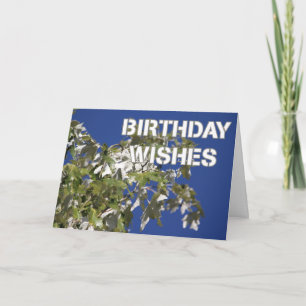 Carte Souhaits d'anniversaire Poplaire feuillu, ciel ble