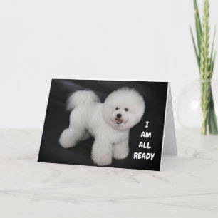 Carte **SOUHAITS DE DOGGIE CUEILLANTS** HEUREUX *40ème**