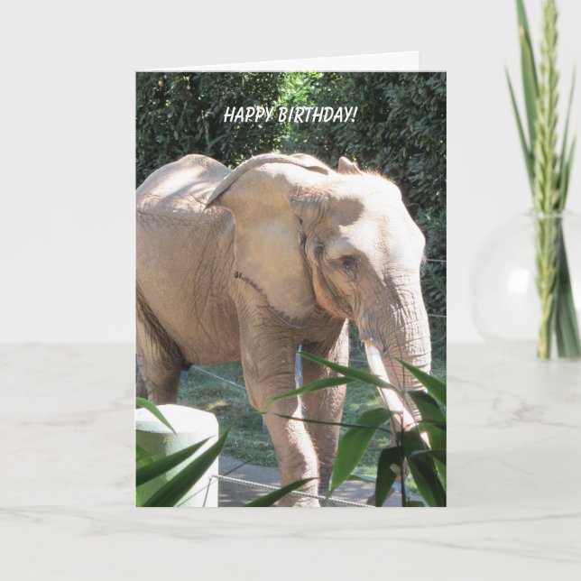 Carte Souhaits doux d'anniversaire d'éléphant (Devant)