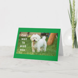 CARTE **SOUHAITS POUR LE MEILLEUR ANNIVERSAIRE JAMAIS**