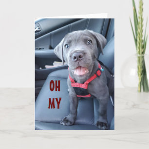 CARTE SOUHAITS SPÉCIAUX DU 60E ANNIVERSAIRE D'UN POIVRE 