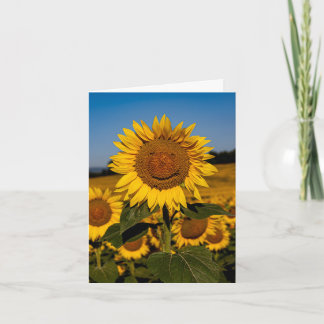Carte Sourire de Tournesol