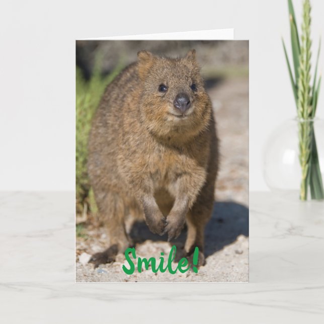 Carte Sourire / Prompt rétablissement, Quokka heureux, A (Devant)