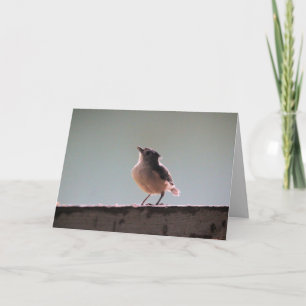 Carte souris