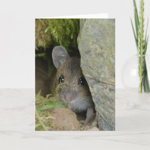 Carte Souris de champ dans un trou dans le mur