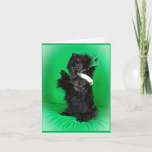 Carte Soyez bénissant