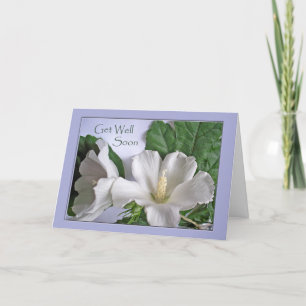 Carte Soyez bien Bientôt Hibiscus blanc Rose de Sharon