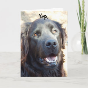 Carte Soyez bien ~Dog Humor Salutation