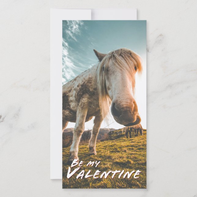Carte Soyez ma Saint-Valentin en regardant Cheval (Devant)