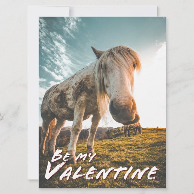 Carte Soyez ma Saint-Valentin en regardant Cheval (Devant)