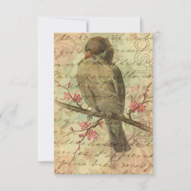 Carte Sparrow vintage Enregistrer La Date Pour Mariage (Devant)