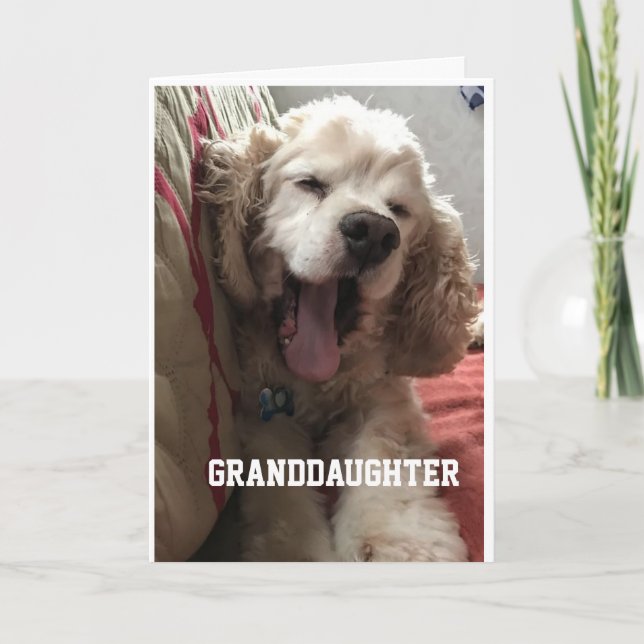 Carte **SPECIAL BIRTHDAY** for "GRANDDAUGHTER" Card (Devant)