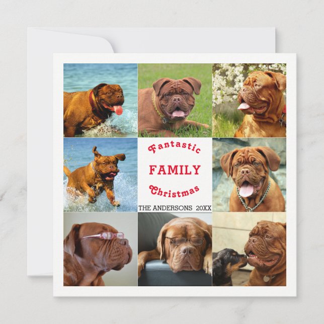 Carte Spectaculaire de Noël de famille de huit photos (Devant)