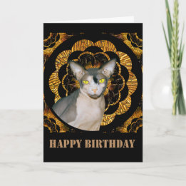 Carte Sphynx Cat Ninja Style Vintage Black Gold Annivers