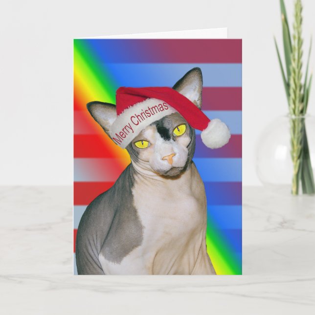 Carte Sphynx Chat Ninja Père Noël Arc en ciel de Noël (Devant)