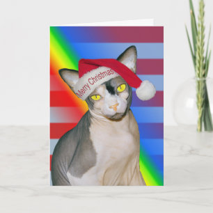 Carte Sphynx Chat Ninja Père Noël Arc en ciel de Noël
