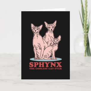 Carte Sphynx Le Chat Le Plus Coolé Chats Sphynx