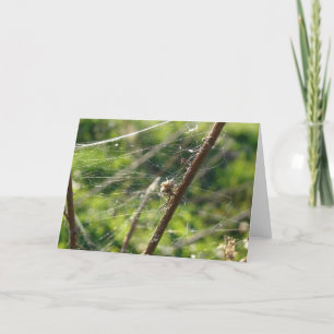 Carte Spider Web Bokeh